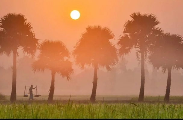 দেশজুড়ে শীতের প্রকোপ বাড়ছে,কুয়াশায় ব্যাহত জনজীবন